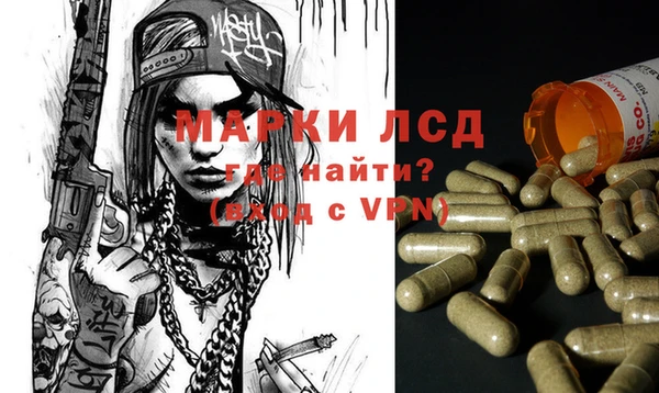индика Алексеевка