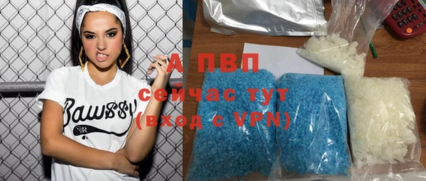 индика Алексеевка